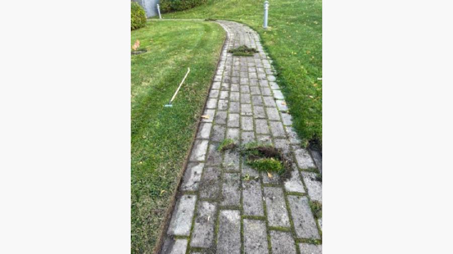 Nu (= 10 oktober 2022) är våra gångars gräskanter snyggt klippta. Foto: Ulrik von Essen
